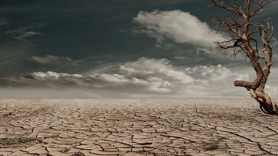 Chladnější léto možná nezažijeme. Klimatická krize drtí naše peněženky - Médium.cz